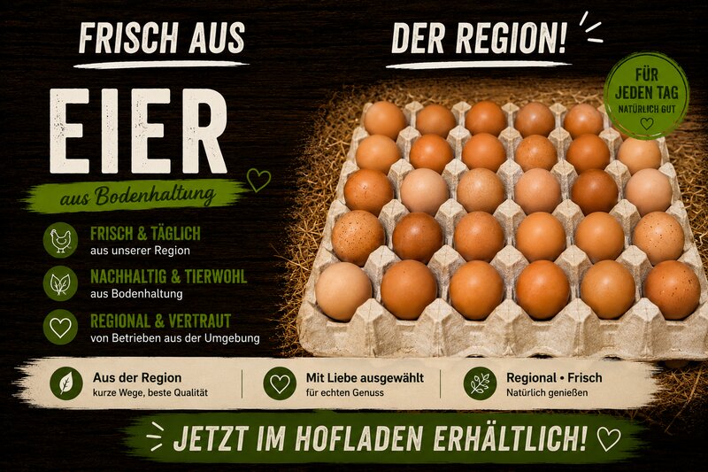 Eier